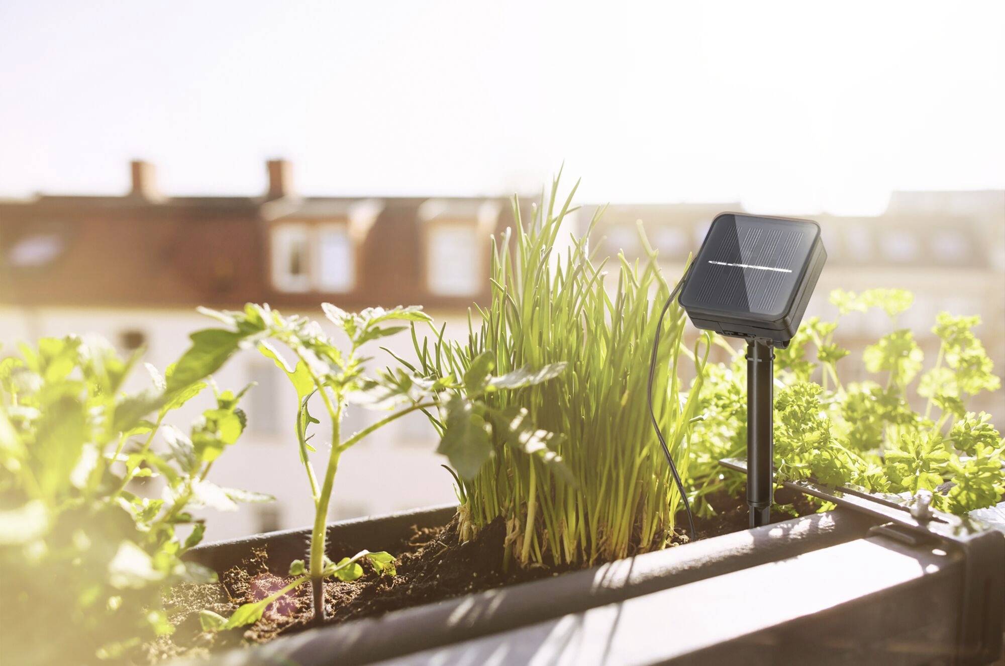 Gemüse und Kräuter wachsen in einem sonnigen Hochbeet auf einem Balkon mit einem kleinen Solarpanel zur Beleuchtung.