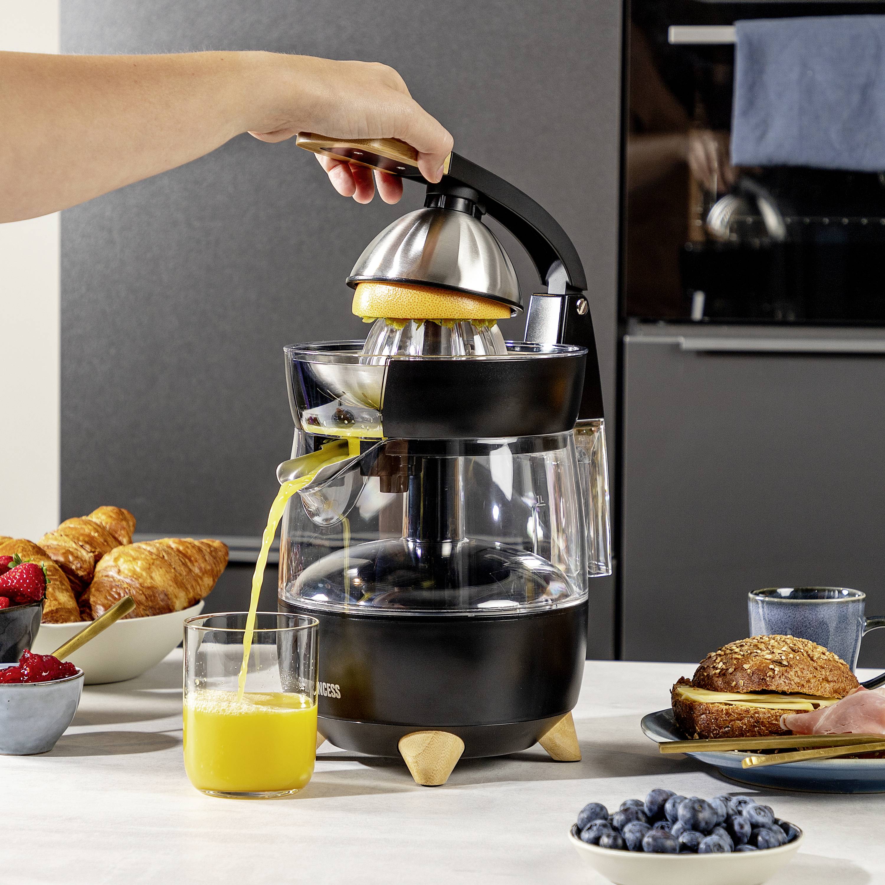 Princess Zitruspresse Pur 300W BPA-frei Schwarz (matt)