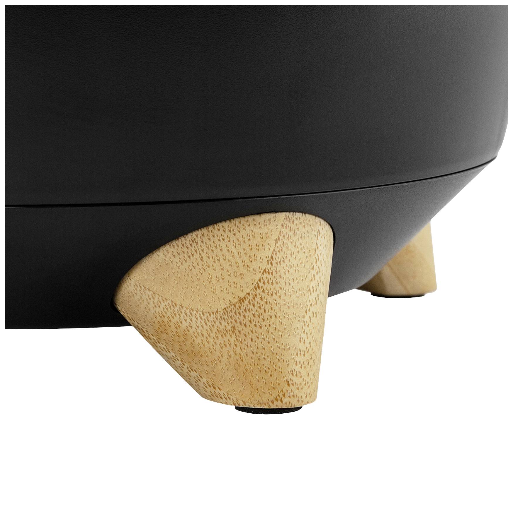 Princess Zitruspresse Pur 300W BPA-frei Schwarz (matt)