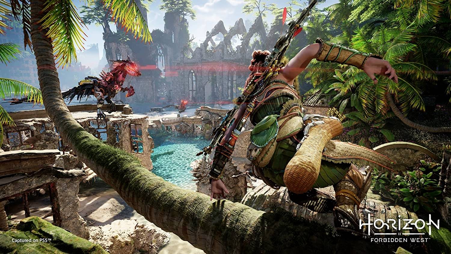 Horizon Forbidden West PS5 USK: 12