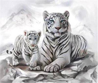 Vedes Diamond Painting Weiße Tigermama mit Jungtier 40x30cm 6037-40031