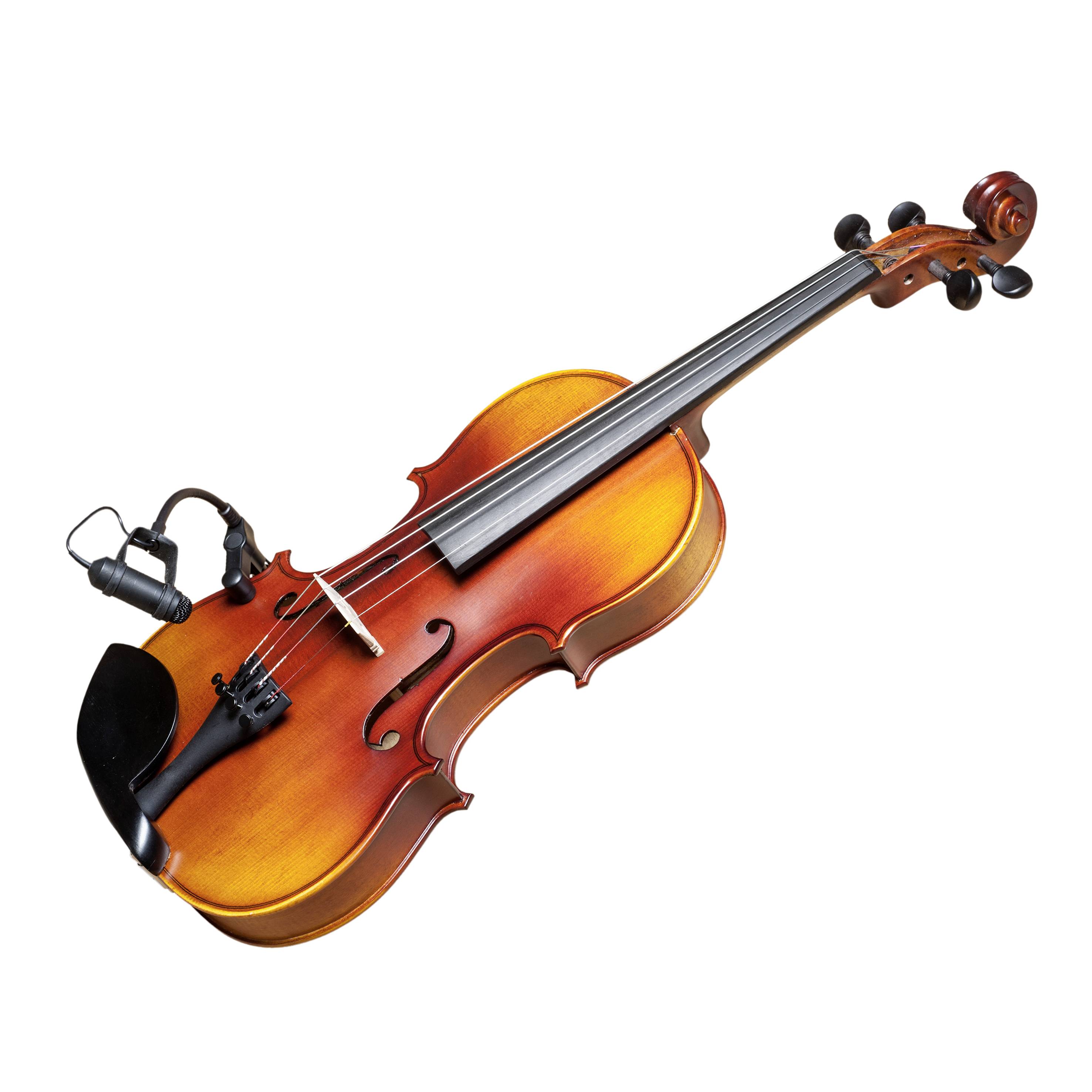 Ein Violine mit montiertem Mikrofon, zeigt Saiten und Steg deutlich. Geeignet für akustische Aufführungen und professionelle Aufnahmen.
