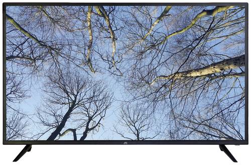JTC S43U4361J LED-TV 108cm 43 Zoll EEK G (A - G) DVB-T2, DVB-C, DVB-S, UHD, Smart TV, WLAN, CI+ Schw