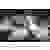 Digitus DA-81001 1D Barcode-Scanner Kabelgebunden 1D LED Schwarz Hand-Scanner inkl. Standfuß USB-A, USB-C® USB 2.0