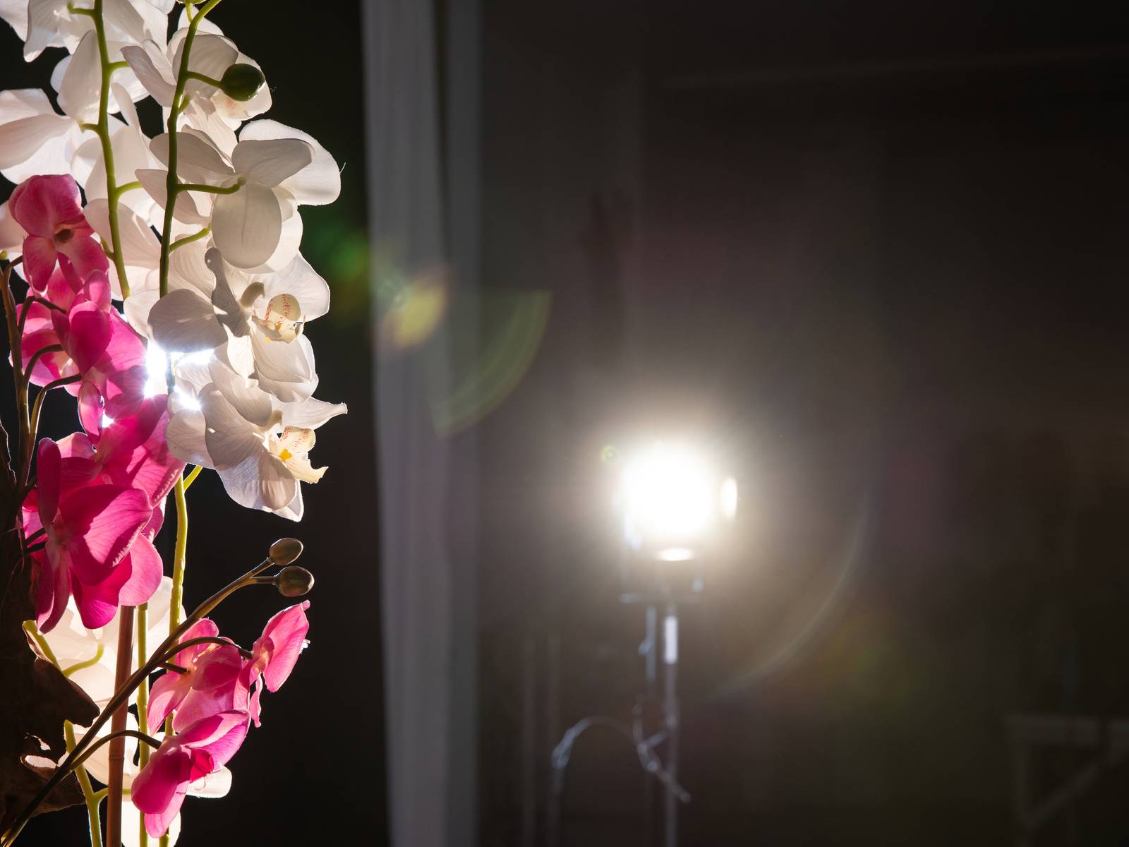 Eurolite LED-Akku-Scheinwerfer AKKU THA-20PC TRC Theater-Spot sw Warmweiß bis Neutralweiß 10 W