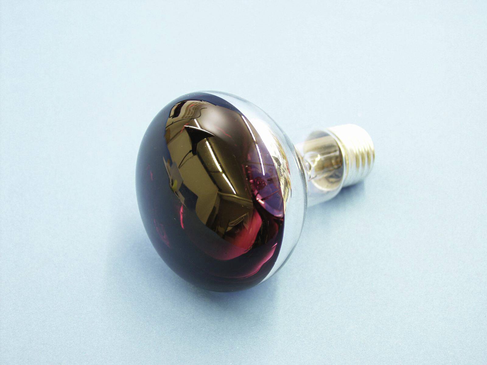 Eurolite 9210440U Halogen E27 Reflektor 60 W Violett (Ø x L) 80 mm x 110 mm 1 St.