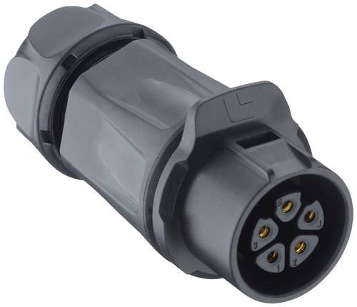 Lutronic 2640 04 T12CB A Rundsteckverbinder Buchse, gerade 10St.