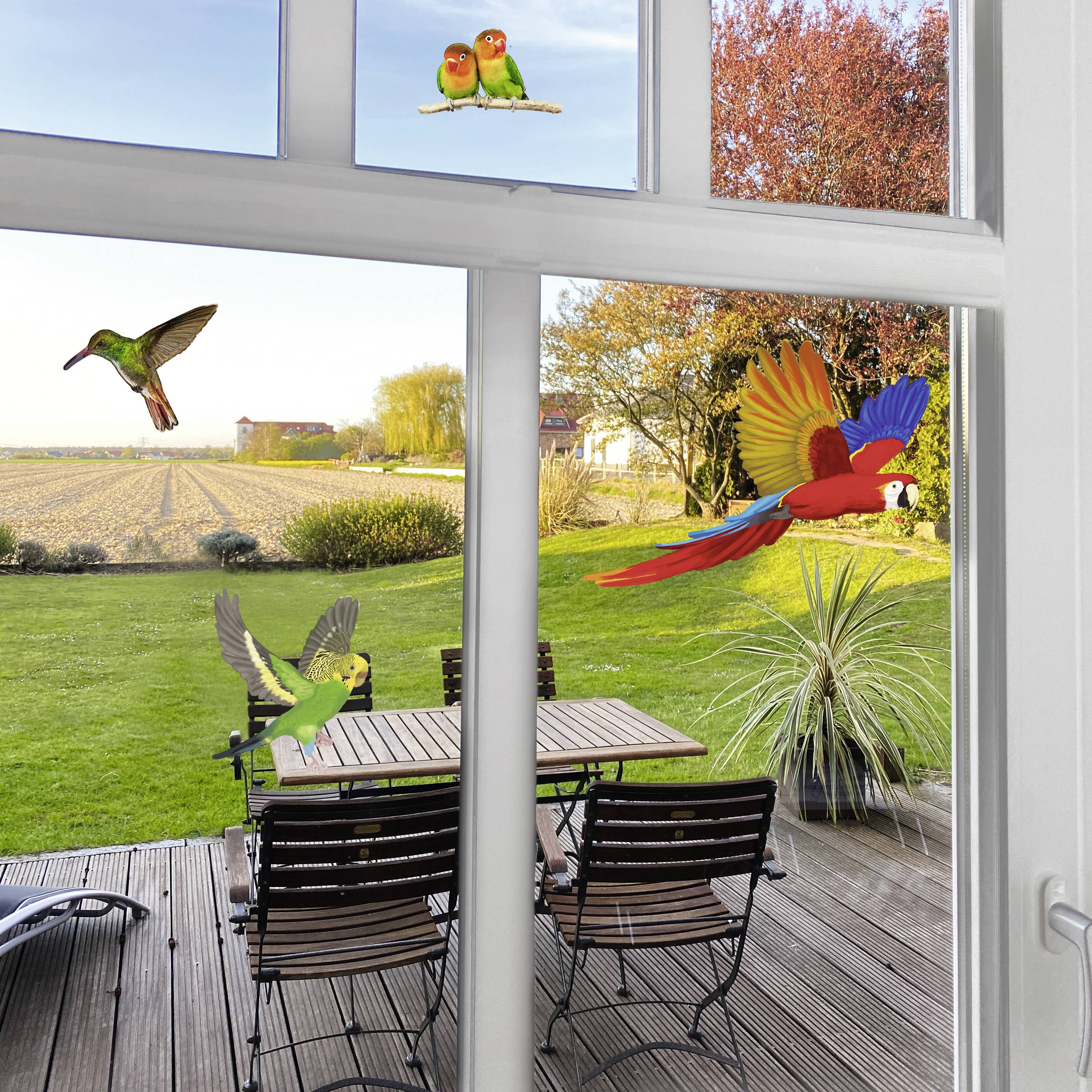 Vögel verschiedener Arten fliegen vor einem Fenster. Im Hintergrund sind Wiesen, Bäume und eine Terrasse mit Tisch und Stühlen zu sehen.