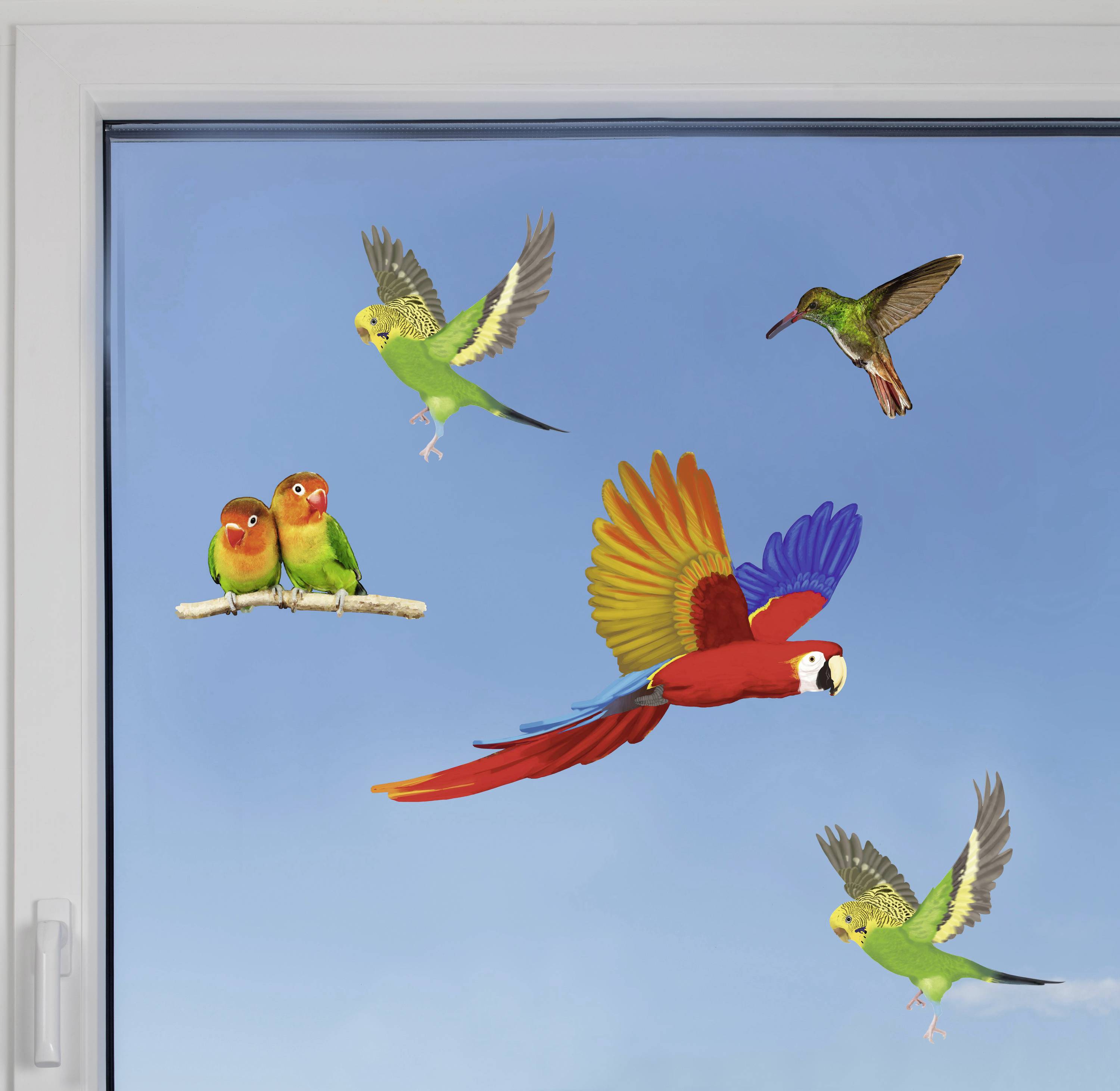 Fünf bunte Vögel fliegen und sitzen auf einem Ast vor einem klaren blauen Himmel, fotografiert durch ein Fenster.