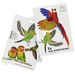 Gardigo Stickers Native Birds Fensteraufkleber Vogelbild Funktionsart Abschreckung 1 St.