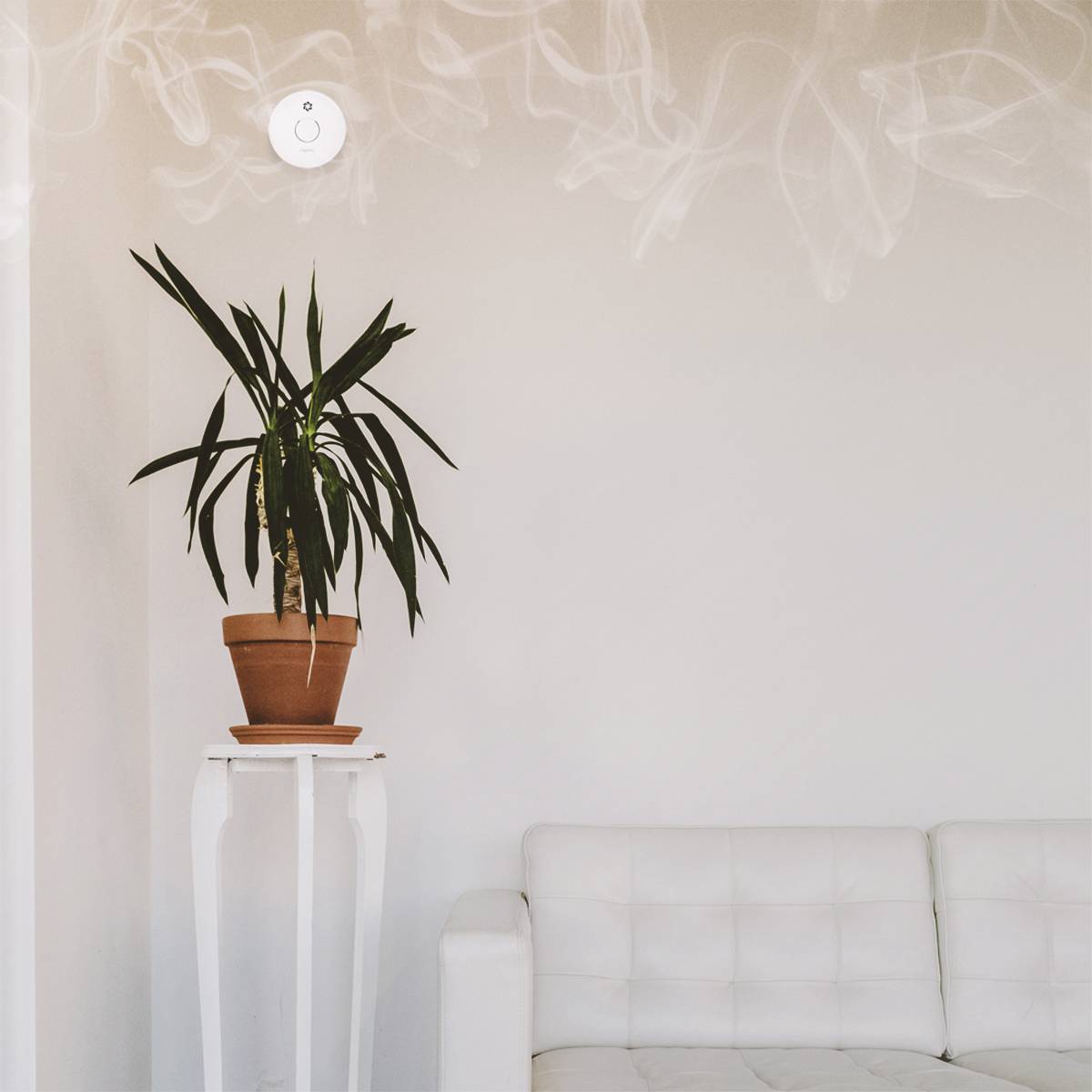 Topfpflanze auf einem hohen weißen Tisch neben einem weißen Sofa. Wanddekoration mit unsichtbaren Rauchwirbeln oben an der Wand.