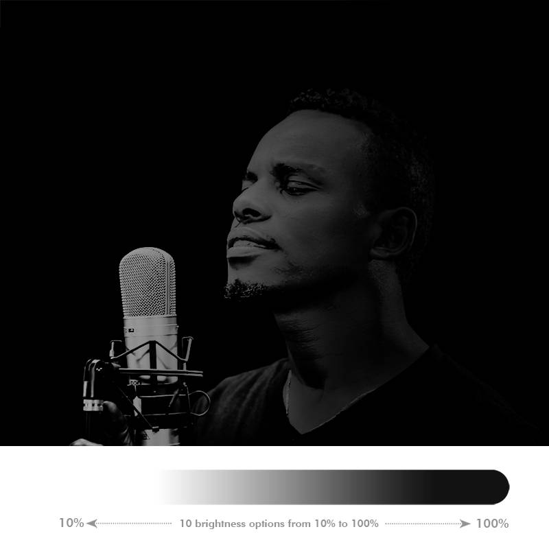 LogiLink Ring Light Heart Lichtstativ EEK E (A - G) Integriertes Stativ, Kugelkopf