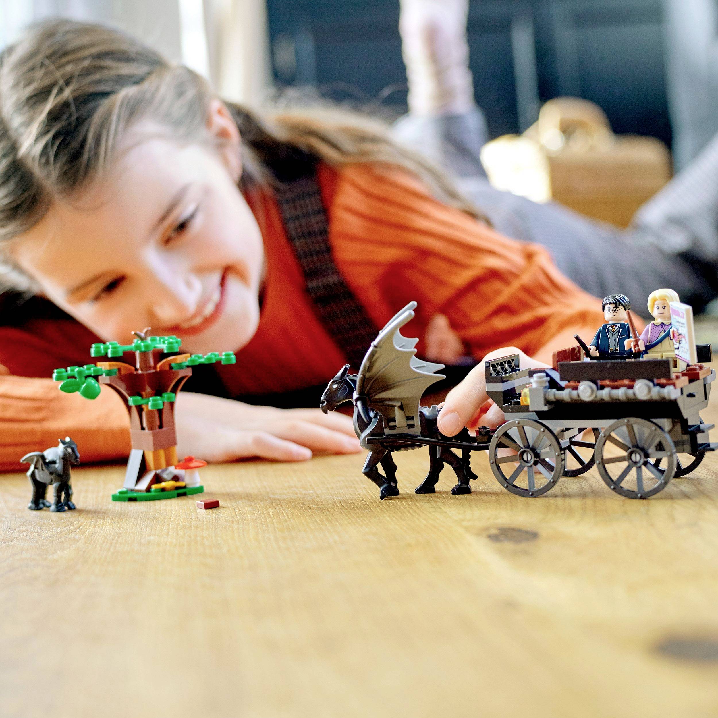 76400 LEGO® HARRY POTTER™ Hogwarts™ Kutsche mit Thestralen