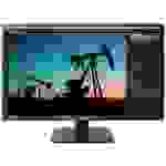 LG Electronics 27BN55U-B LED-Monitor 68.6cm (27 Zoll) EEK G (A - G) 3840 x 2160 Pixel UHD 5 ms HDMI®, DisplayPort IPS LED