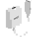 LINDY 38303 HDMI / DisplayPort Konverter [1x HDMI-Buchse - 1x DisplayPort Stecker] Weiß 9.5 cm