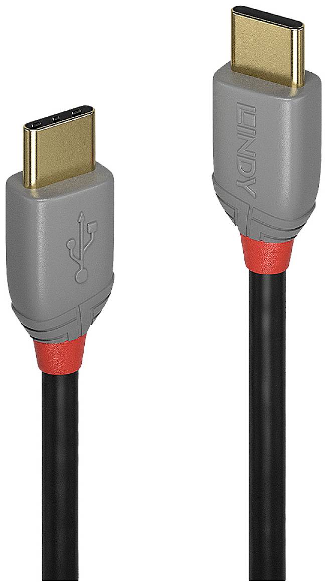 Zwei graue USB-C-Kabel mit goldenen Anschlüssen und rotem Ring. Die Kabel sind in entgegengesetzte Richtungen ausgerichtet.