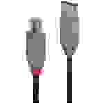 LINDY Câble USB USB 2.0 USB-A mâle, USB-B mâle 0.50 m noir, gris 36671