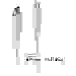 LINDY USB-Kabel USB 2.0 Apple Lightning Stecker, USB-C® Stecker 3.00m Weiß 31318