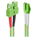LINDY 46321 fibre optique FO Câble de raccordement [1x LC mâle - 1x SC mâle] 50/125 µ Multimode OM5 2.00 m