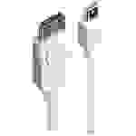 Câble de raccordement LINDY Fiche mâle Mini DisplayPort, Fiche mâle DisplayPort 1.00 m blanc 41056 Câble DisplayPort