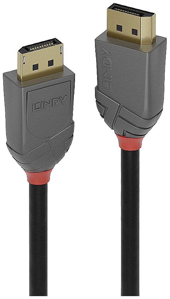 DisplayPort-Kabel mit schwarzem Kabel und grauen Steckern. Goldene Kontakte und rote Akzente an den Steckern.