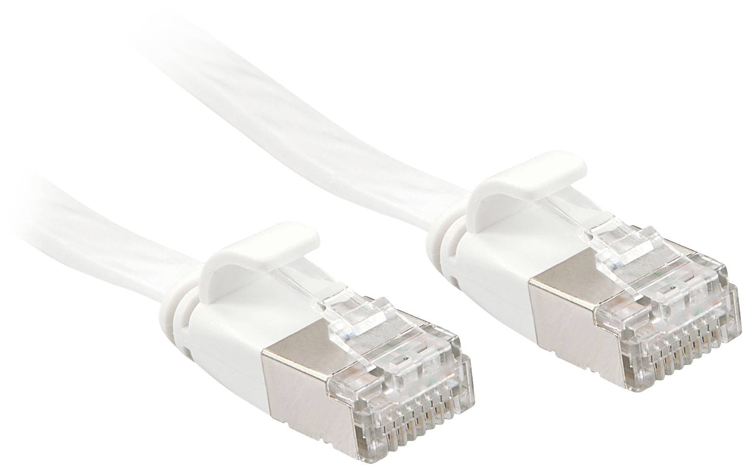 Zwei weiße Ethernet-Kabel mit durchsichtigen Plastiksteckern