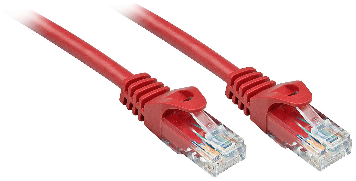 Zwei rote Ethernet-Kabel mit transparenten Steckern, die zur Datenübertragung in Netzwerken verwendet werden.