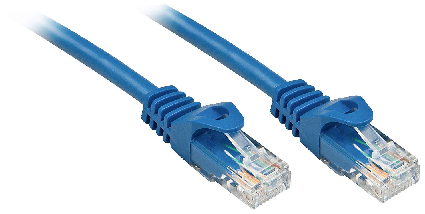 Zwei blaue Ethernet-Kabel mit transparenten Steckern liegen nebeneinander, bereit für die Verbindung in ein Netzwerk.
