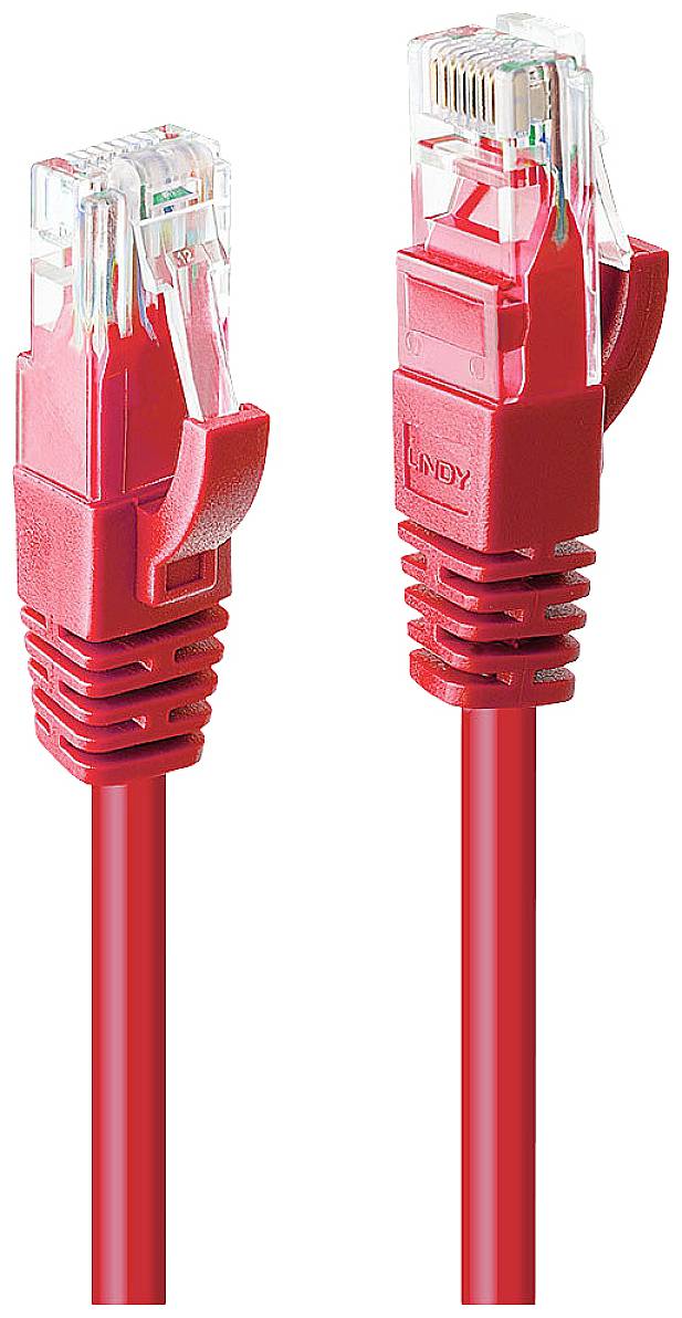 Zwei rote Ethernet-Kabel mit RJ45-Steckern nebeneinander.