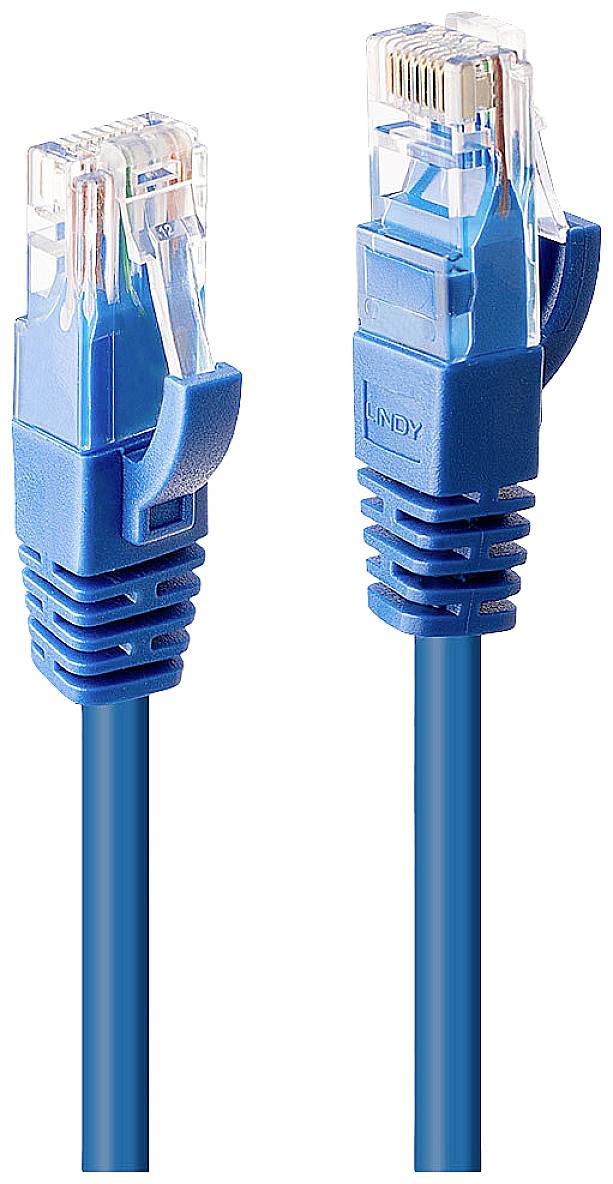 Zwei blaue Ethernet-Kabel mit transparenten Steckern. Geeignet für Netzwerkanbindungen und Datenübertragung.
