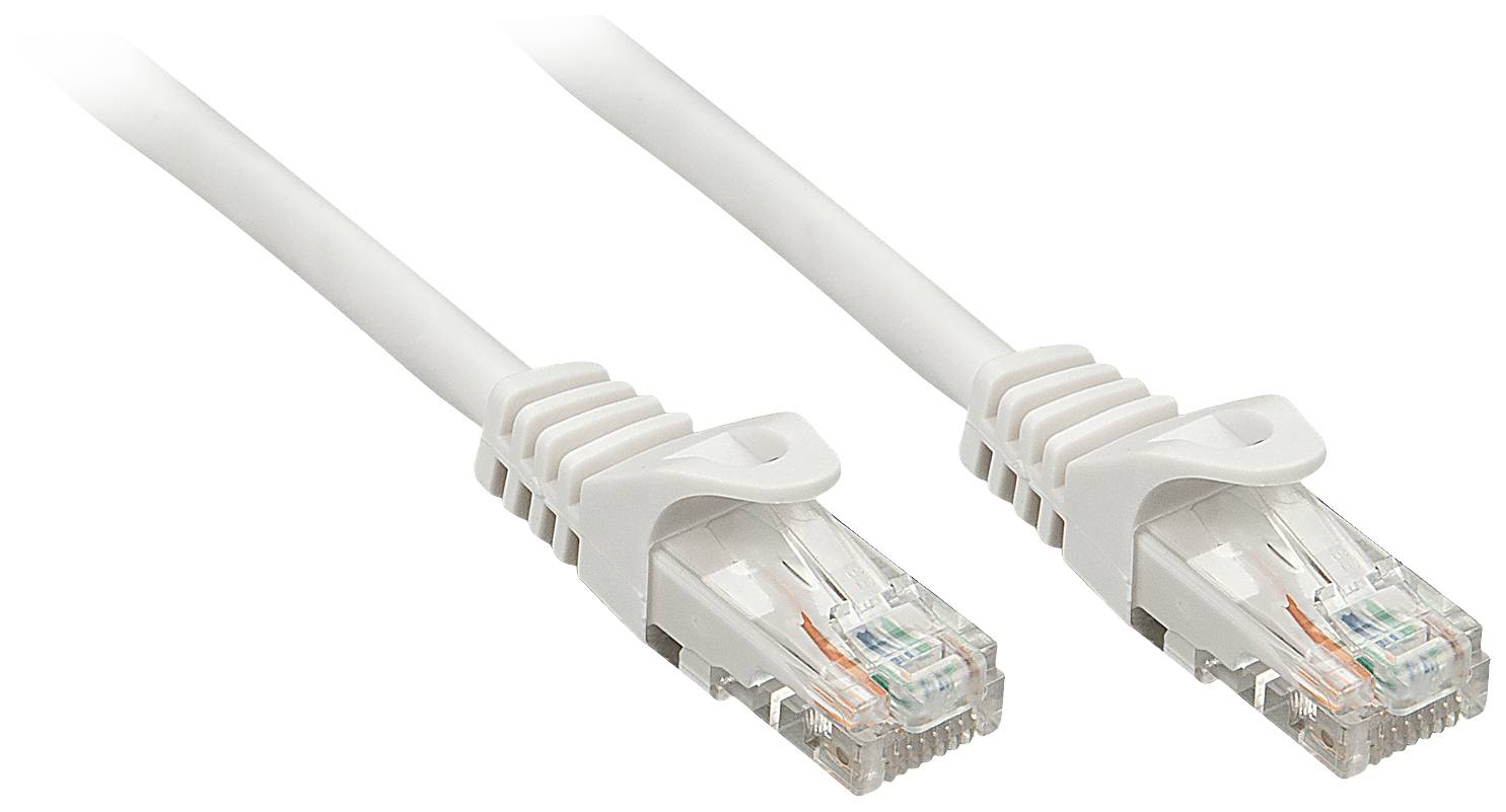Zwei weiße Ethernet-Kabel mit transparenten Steckern liegen nebeneinander.