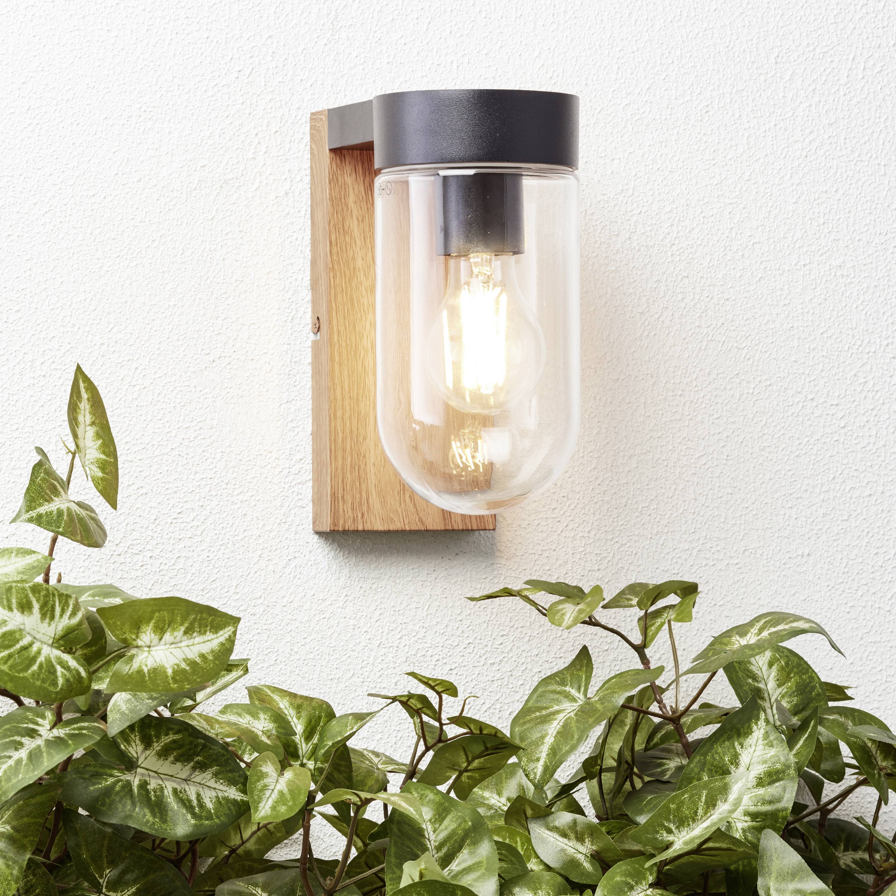 Wandleuchte mit Holzhalterung, transparentem Glas und sichtbarer Glühbirne über grünen Blättern an weißer Wand befestigt.
