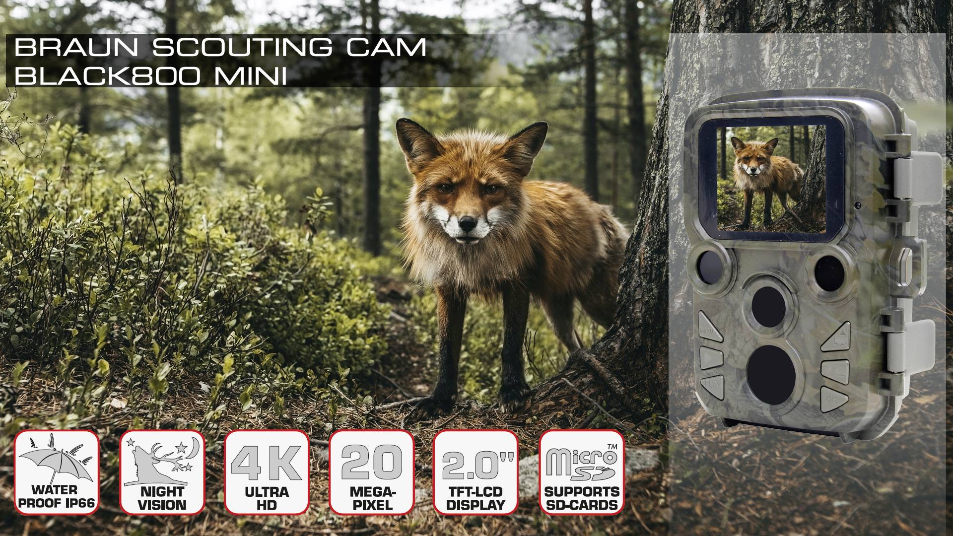 Braun Phototechnik Black 800 Mini Wildkamera 20 Megapixel Zeitrafferfunktion, Tonaufzeichnung Camouflage