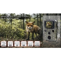 Braun Phototechnik Black 800 Mini Wildkamera 20 Megapixel Zeitrafferfunktion, Tonaufzeichnung Camouflage Braun Phototechnik Black 800 Mini Wildkamera 20 Megapixel Zeitrafferfunktion, Tonaufzeichnung Camouflage
