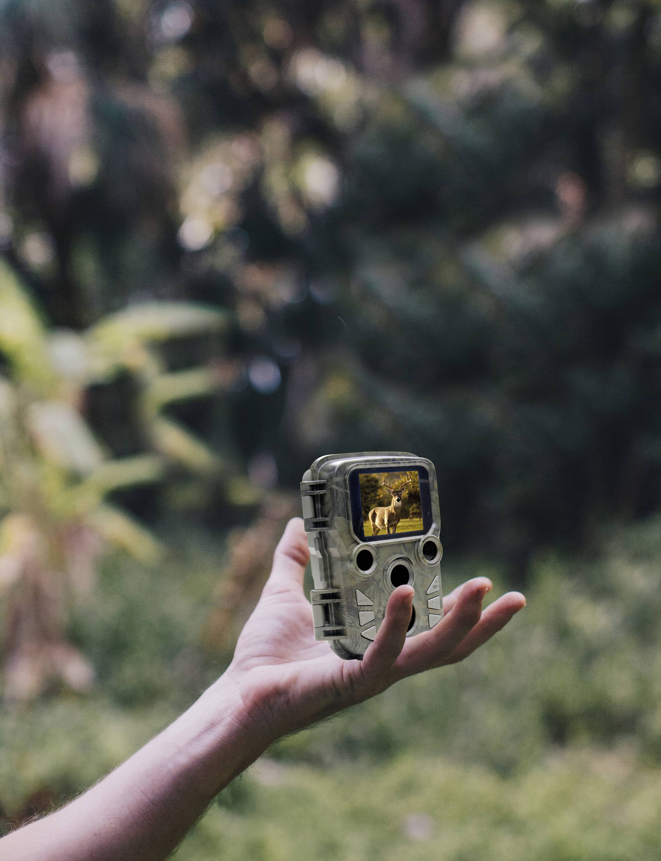 Braun Phototechnik Black 800 Mini Wildkamera 20 Megapixel Zeitrafferfunktion, Tonaufzeichnung Camouflage