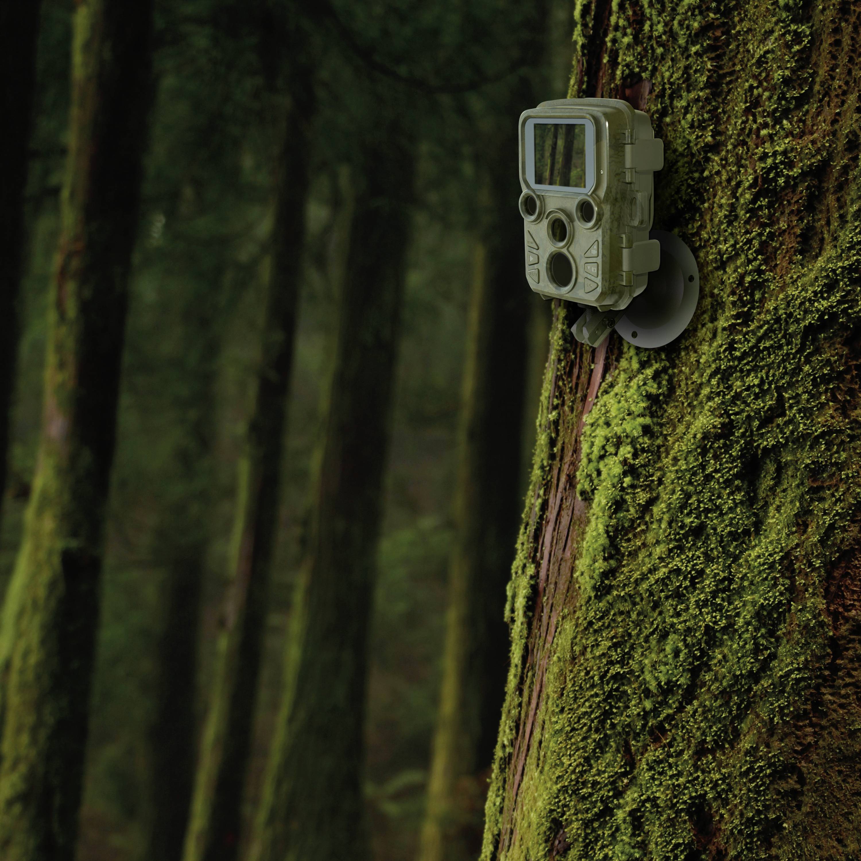 Braun Phototechnik Black 800 Mini Wildkamera 20 Megapixel Zeitrafferfunktion, Tonaufzeichnung Camouflage