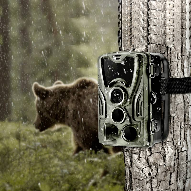 Braun Phototechnik Black 550 Wildkamera 24 Megapixel Zeitrafferfunktion, Tonaufzeichnung Camouflage