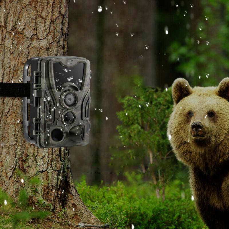 Braun Phototechnik Black 550 Wildkamera 24 Megapixel Zeitrafferfunktion, Tonaufzeichnung Camouflage