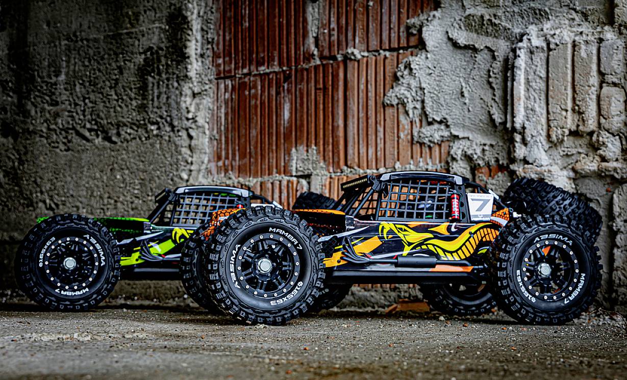 Zwei ferngesteuerte Offroad-Fahrzeuge mit auffälligen Schlangenmotiven stehen nebeneinander auf einer Betonfläche vor einer Ziegelwand.