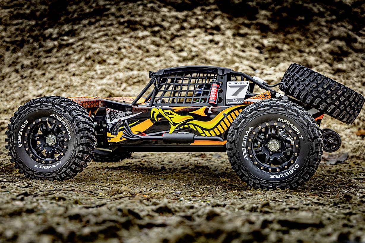 Ein ferngesteuertes Auto mit stilisiertem Schlangenmotiv auf der Karosserie steht auf einem steinigen Untergrund.