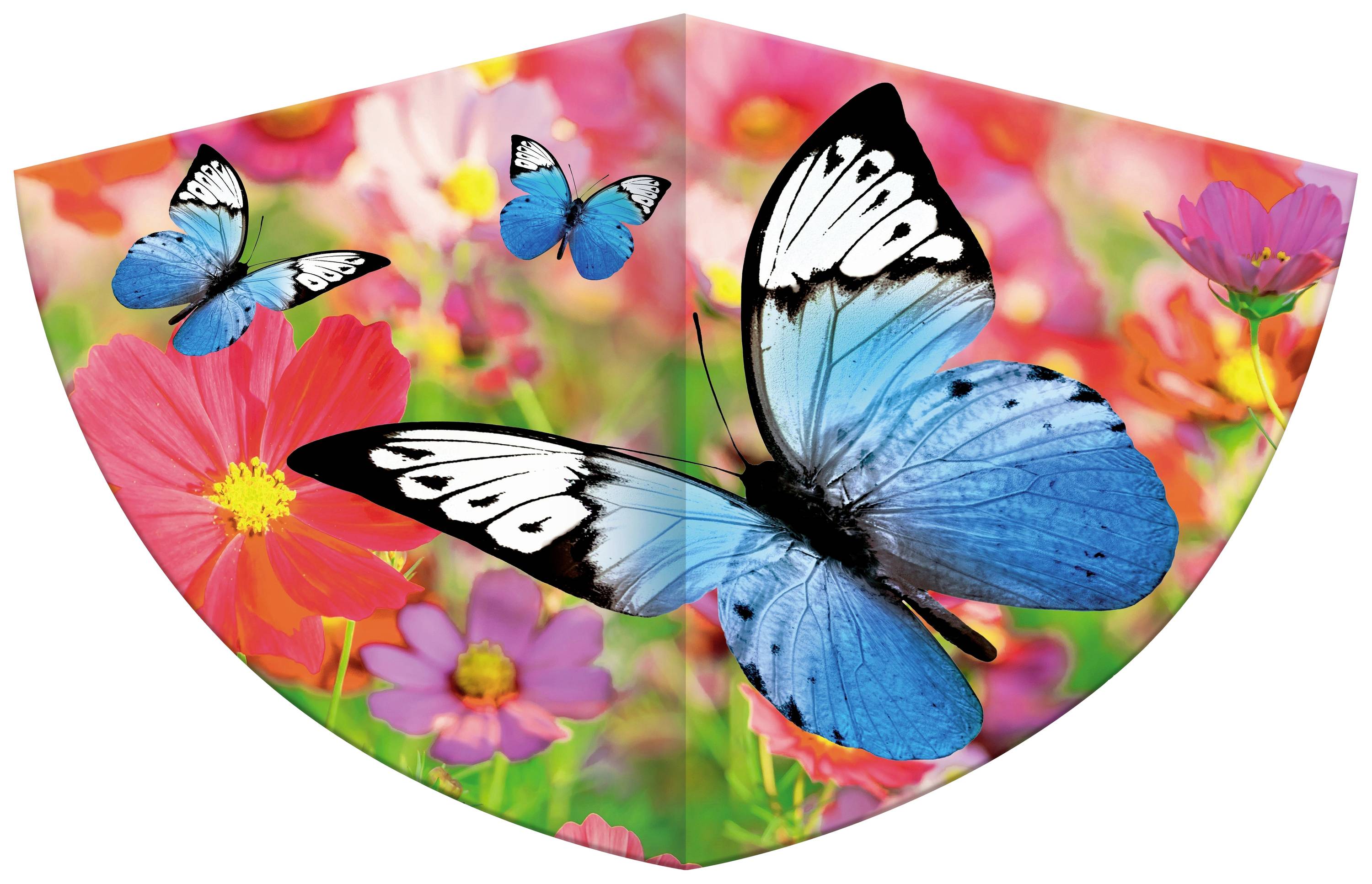 Günther Flugspiele Drachen Schmetterling Spannweite (Details) 750 mm Windstärken-Eignung 4 - 9 bft