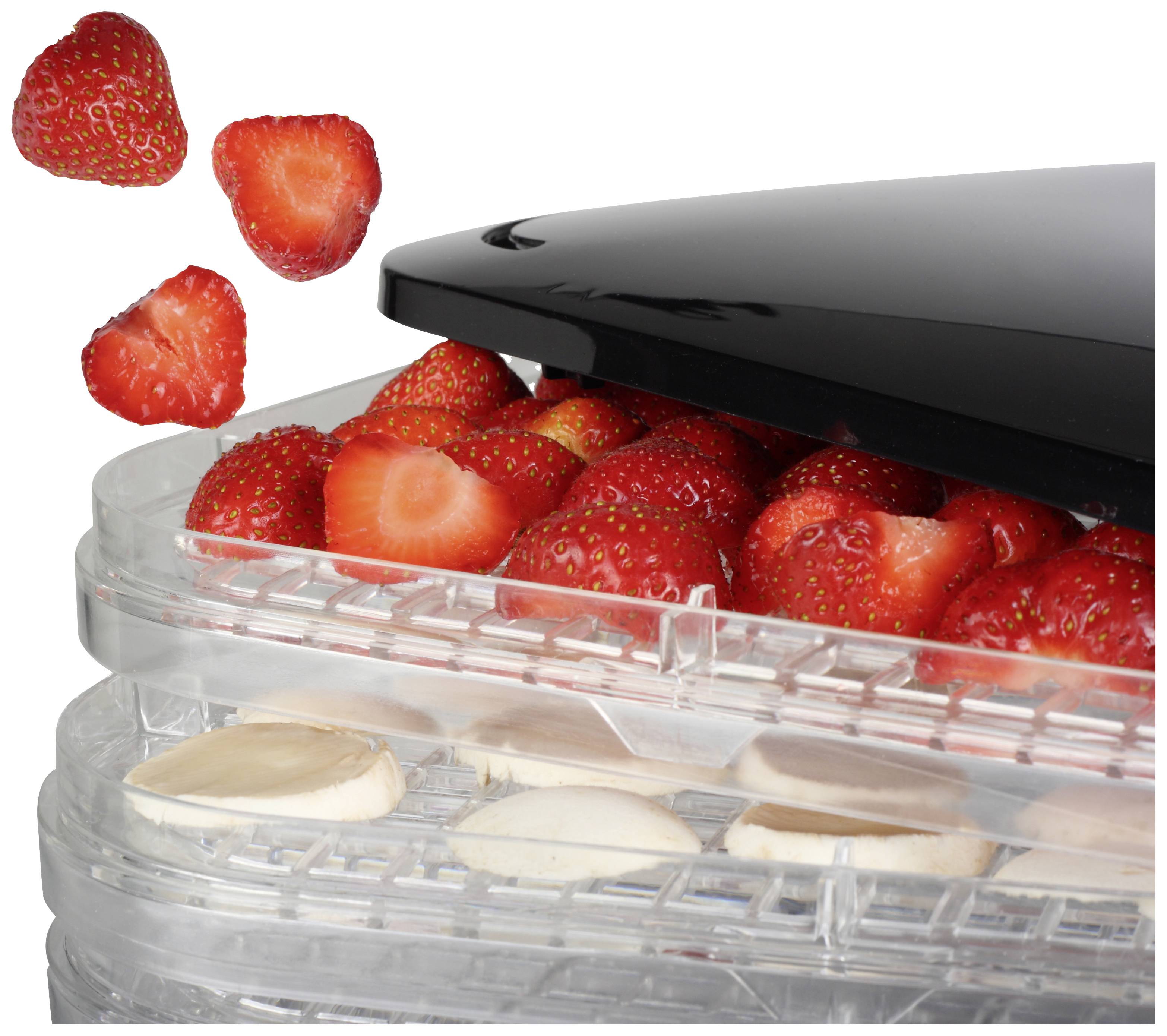 Ein Dörrgerät mit Erdbeeren und Apfelscheiben auf den Gittern, bereit zur Trocknung. Ein transparenter Deckel ist teilweise sichtbar.