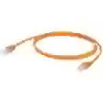 Weidmüller 2814850003 RJ45 Netzwerkkabel, Patchkabel CAT 5 SF/UTP 0.30m Orange 1St. Weidmüller 2814850003 RJ45 Netzwerkkabel, Patchkabel CAT 5 SF/UTP 0.30m Orange 1St.