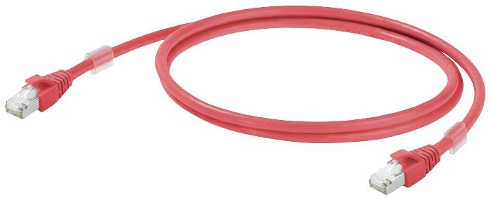 Ein rotes Ethernet-Kabel mit zwei RJ45-Steckern an den Enden, aufgerollt in einer ovalen Form, liegt vor einem weißen Hintergrund.