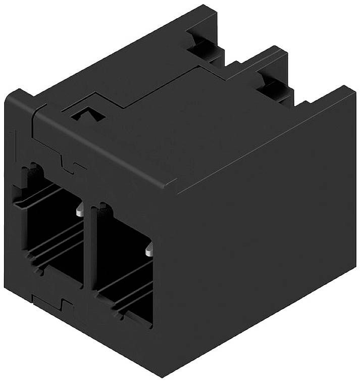 Ein schwarzer, rechteckiger elektrischer Steckverbinder mit zwei Buchsenöffnungen, geeignet für Netzwerkkabelverbindungen.