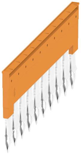 Ein orangefarbenes Lineal mit mehreren darunter hängenden Metallfedern, das als Nib Holder für Kalligraphiefedern genutzt wird.