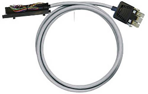 Weidmüller 7789220020 PAC-S300-RV24-V6-2M