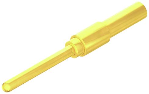 Ein glänzender, goldfarbener Metallstift mit zylindrischer Form und abgesetzten Enden.