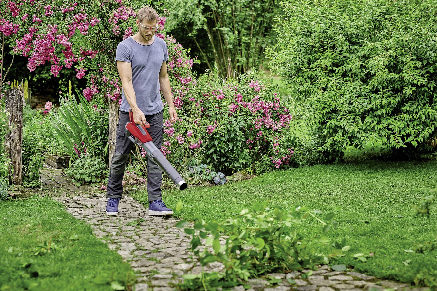 Eine Person verwendet einen Laubbläser auf einem gepflasterten Weg, um Laub im Garten zu entfernen. Im Hintergrund blühende Sträucher.