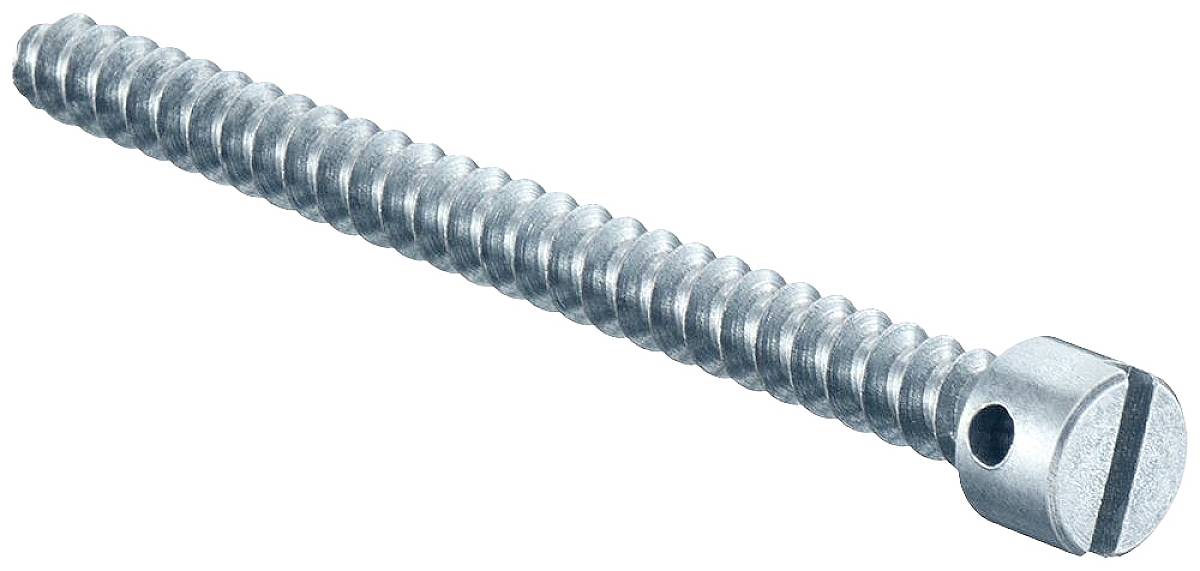 Ein silberner Schraubenschaft mit geriffeltem Körper und flachem Kopf.